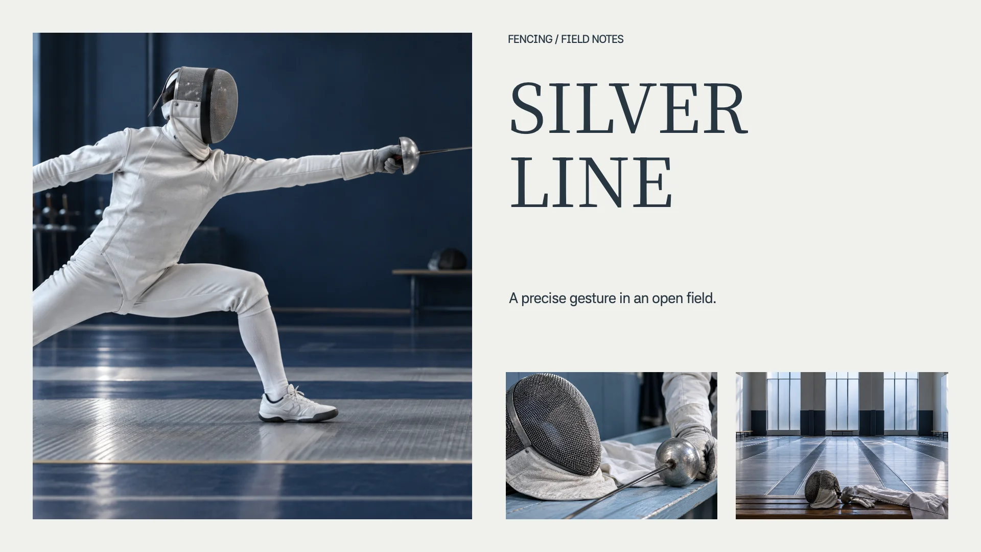 SILVER LINE slide 1